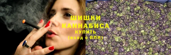 таблы Няндома