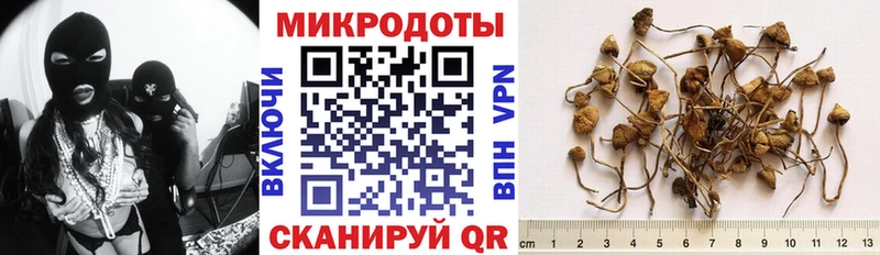 Галлюциногенные грибы прущие грибы  omg ONION  Уяр 
